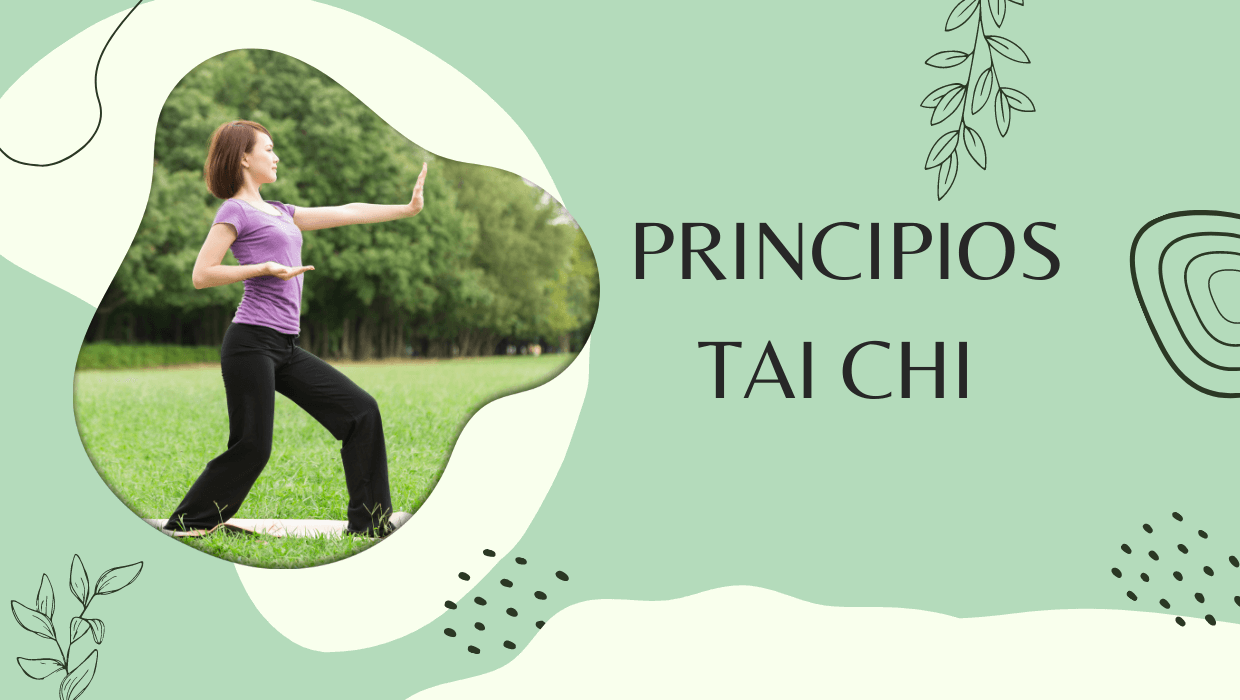 Princípios Tai Chi Chuan