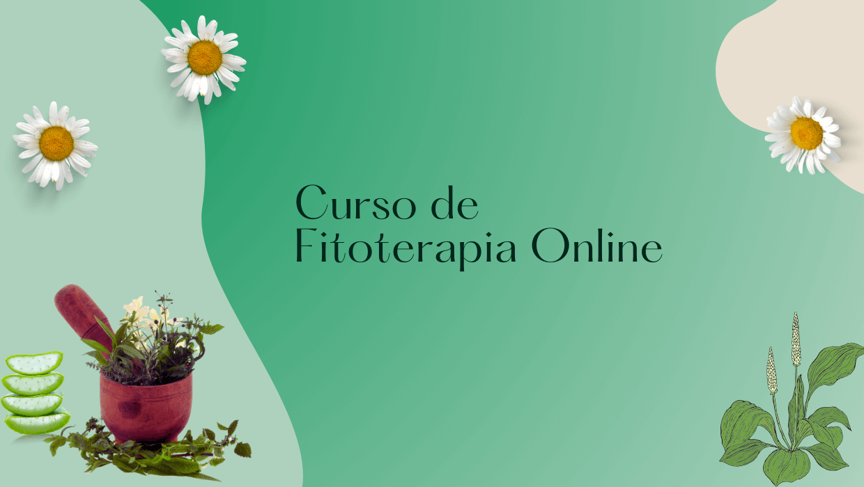 Imagem destaque - Curso de Fitoterapia Online